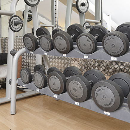 Musculation